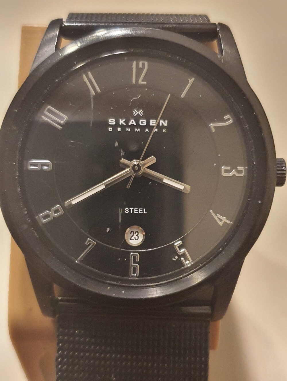 Skagen Denmark Steel 124XLBBB Stainless Steel Mesh Men's Watch w/Date